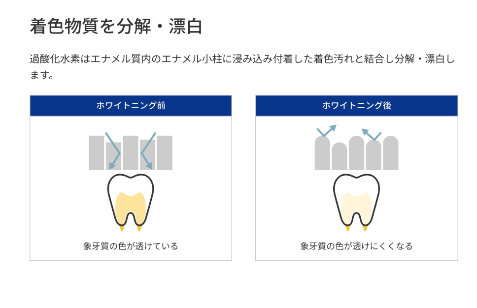歯科医師の診療にもとづく処方。